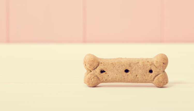 Bone shaped dog treat